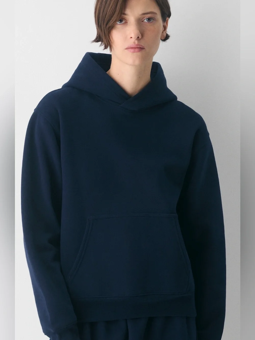 Aritizia cozy sweat fleece perfect hoodie